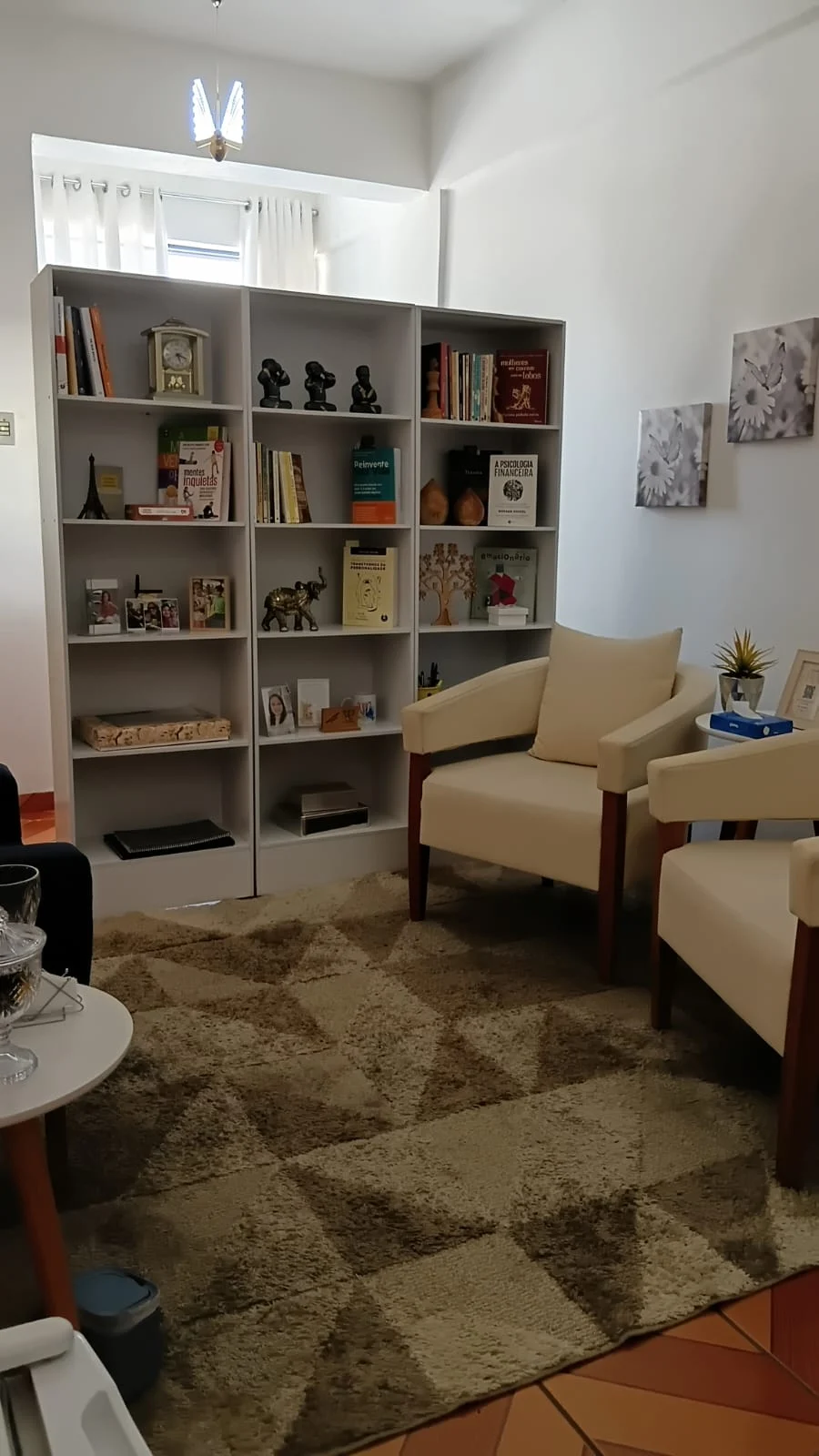 Vista ampla do consultório de Meire, com estante e poltronas