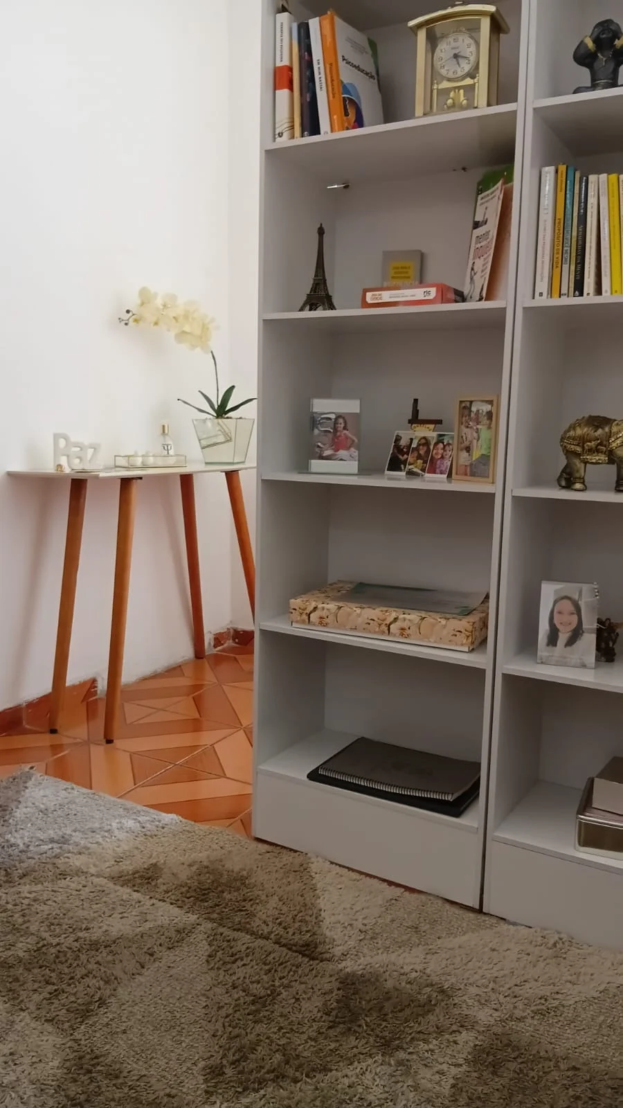 Detalhes da estante e da decoração do consultório