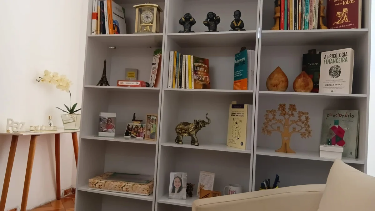 Vista da estante de livros e objetos do consultório
